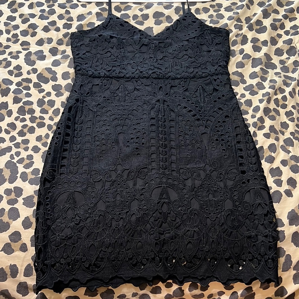 Lulus Lace Dress